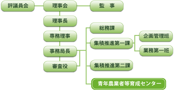 組織